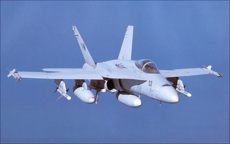 F/A-18 Hornet Multi-mission Attack Aircraft