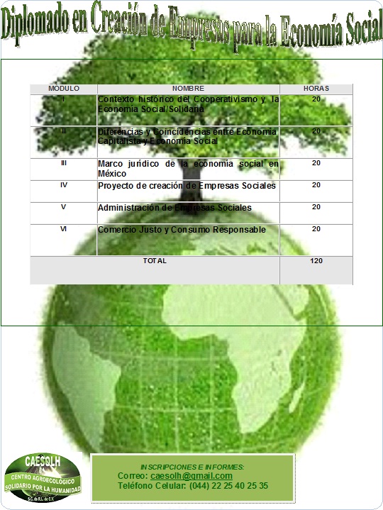 DIPLOMADO EN CREACIÓN DE EMPRESAS PARA LA ECONOMÍA SOCIAL