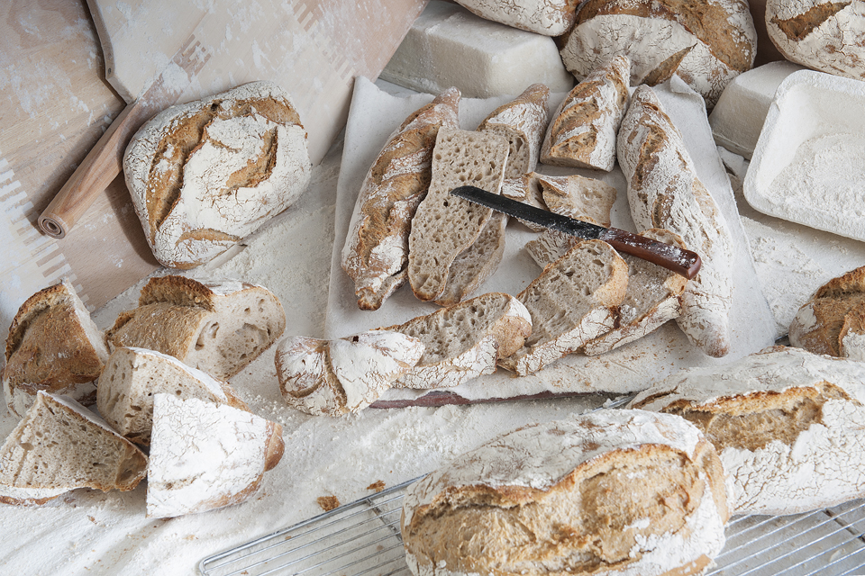 Sentidos y sinsentidos Me gusta EL PAN