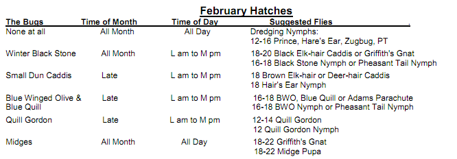 North Georgia Fly Hatch Chart