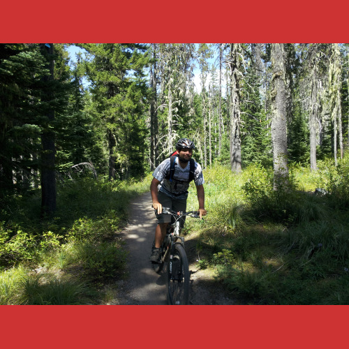 Best beginners mountain bike trails near me 2025 - Main Image