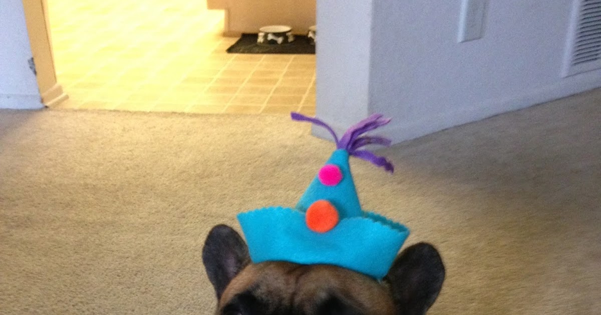 Pawdon My Frenchie DIY dog party hats