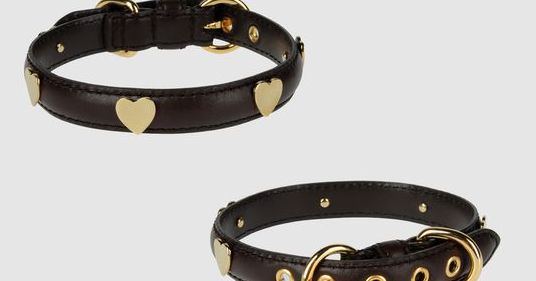moschino dog leash