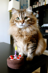 DIY felt birthday cake pincushion cover