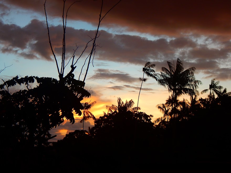 POR DE SOL NA AMAZONIA