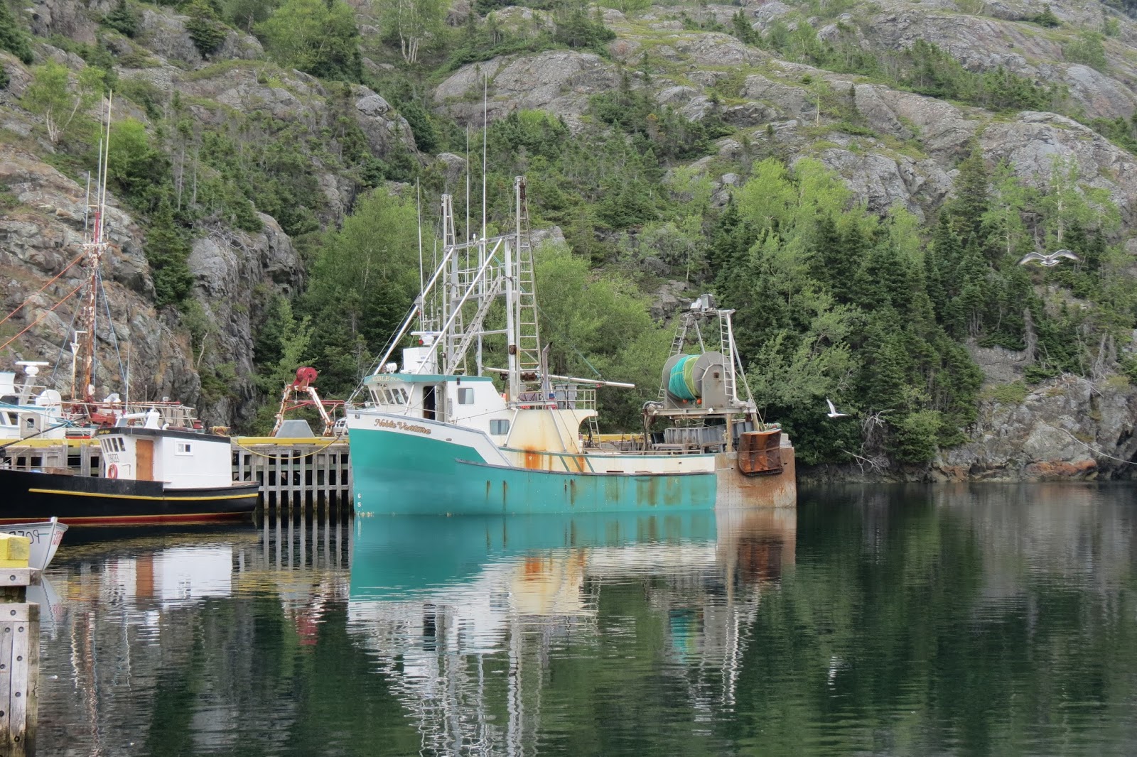 Travel Newfoundland and Labrador by Motorcycle Nippers Harbour to