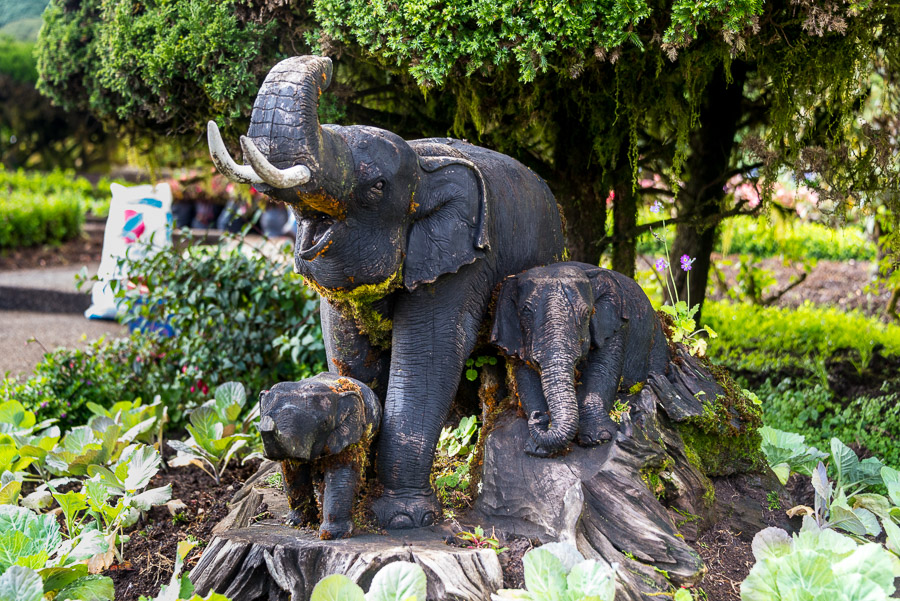 Doi Inthanon National Park