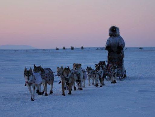 shaktoolik single girls Marriage in shaktoolik on ypcom see reviews, photos, directions, phone numbers and more for the best marriage & family therapists in shaktoolik, ak. shaktoolik single girls Marriage in shaktoolik on ypcom see reviews, photos, directions, phone numbers and more for the best marriage & family therapists in shaktoolik, ak.