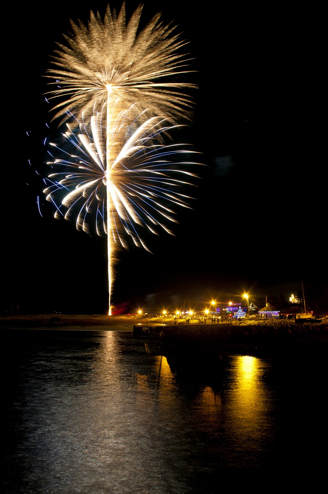 Discover Shelburne County Christmas Trees Nova Scotia style!
