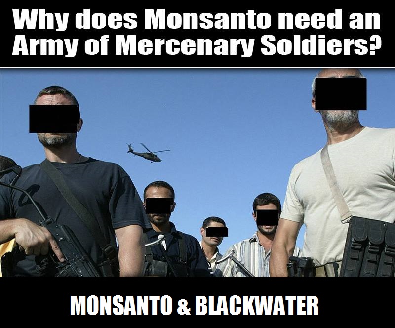 This Blog Will Blow Your Mind! Why Does Monsanto Need an Army of
