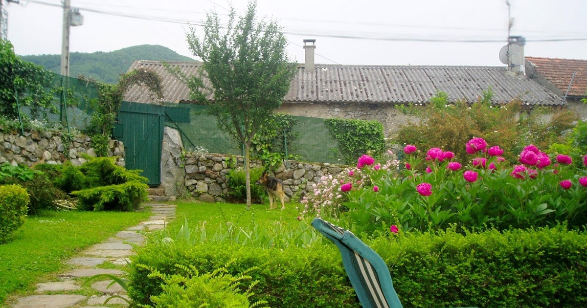 ARTE Y JARDINERÍA : Diseño de Jardines. A cada ambiente su jardín