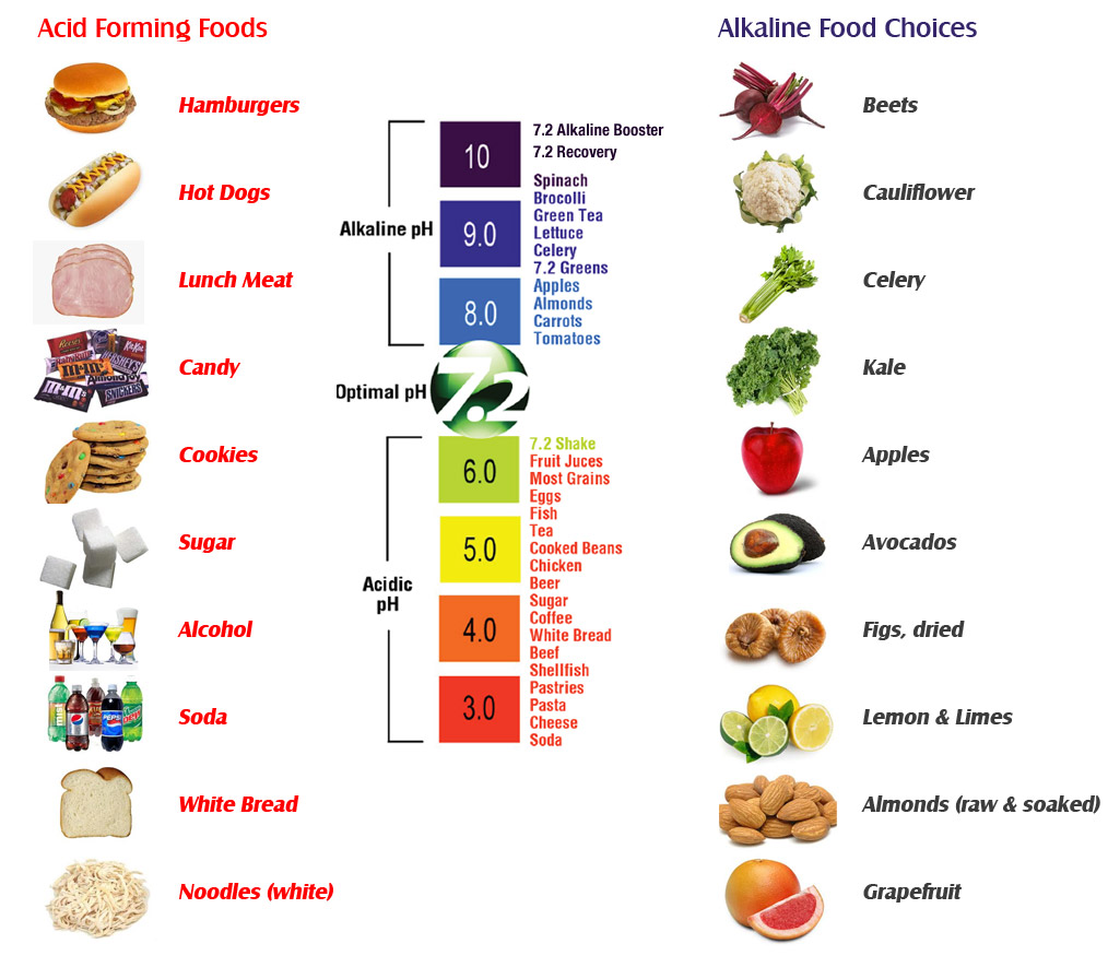 Acid Alkaline Food Chart PDF