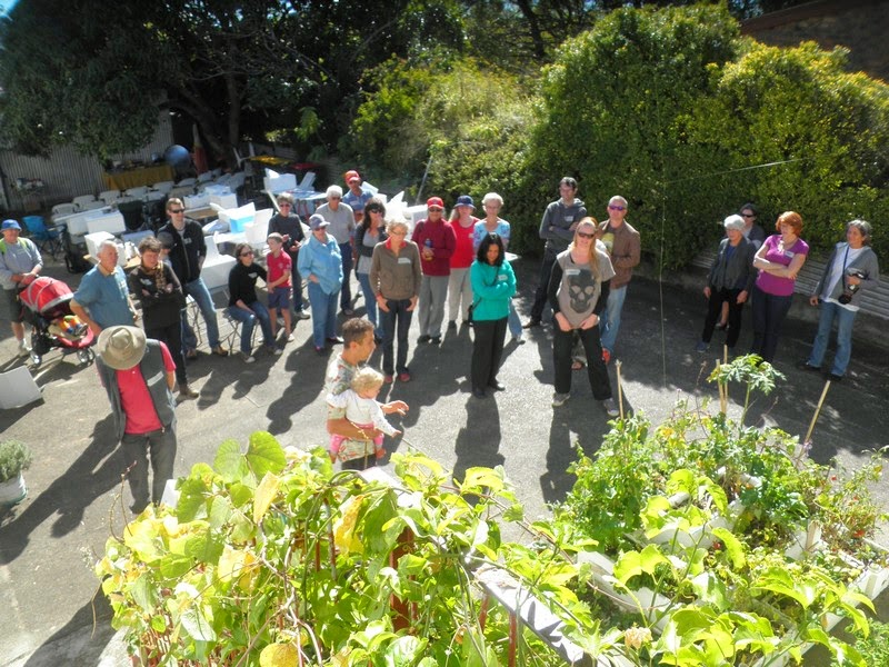 SpurTopia Happy Day 7 SpurTopia Happy Day