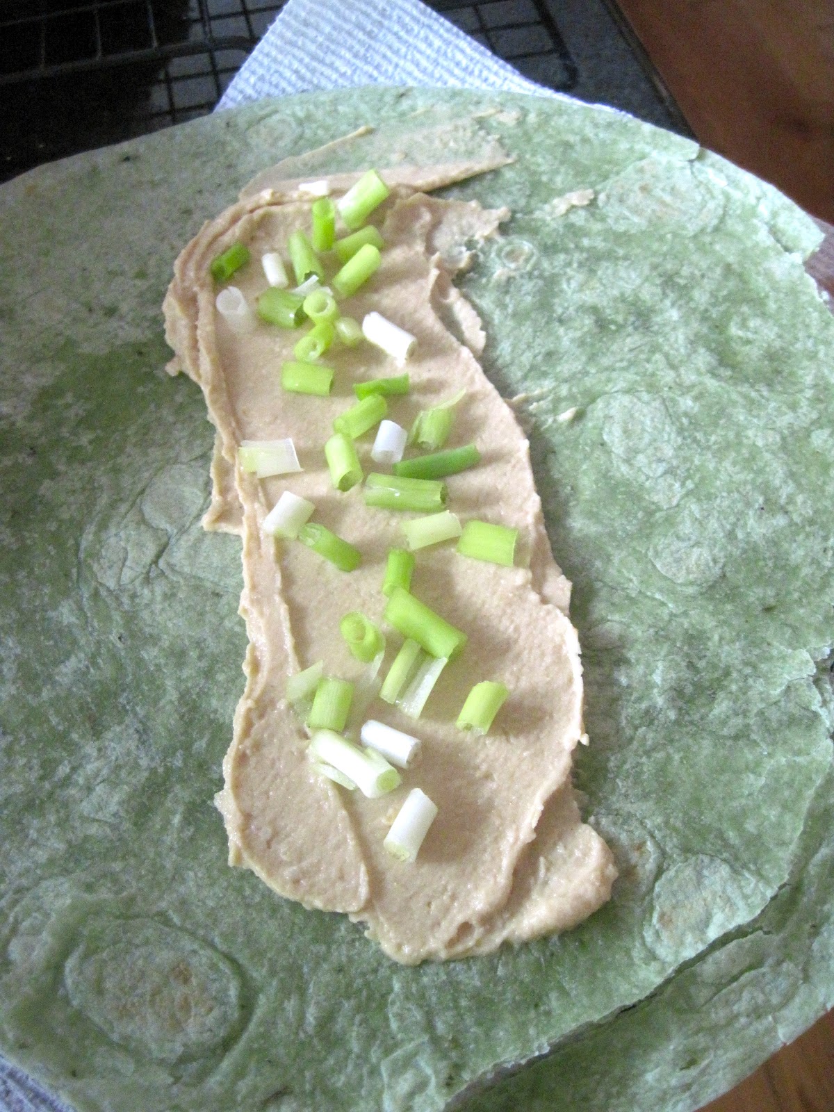 Color Me Caroline Grilled Chicken Hummus Wrap