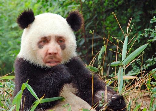 RICHARD+SOUTHERTON+Nic+Cage+Panda.jpg