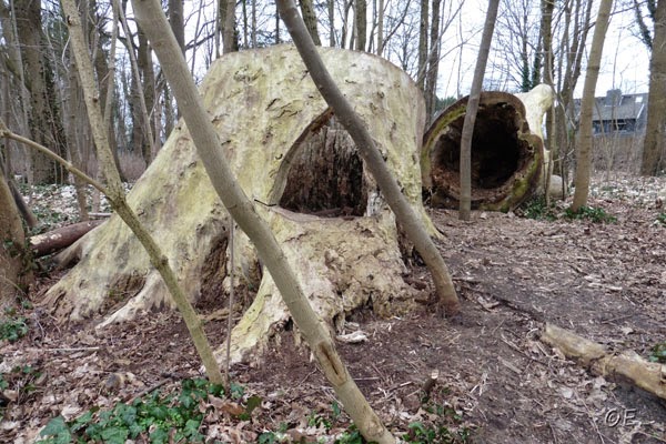 Football Cartophilic Info Exchange Page 436 Chan 52864394