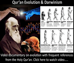 Evolution - Islam