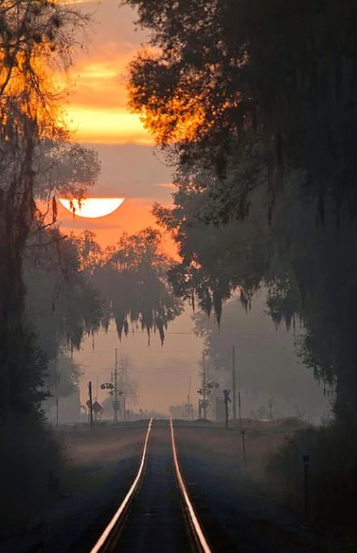  Sunrise Rail, Lake Park, Georgia