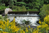 Water Fall in the Summer