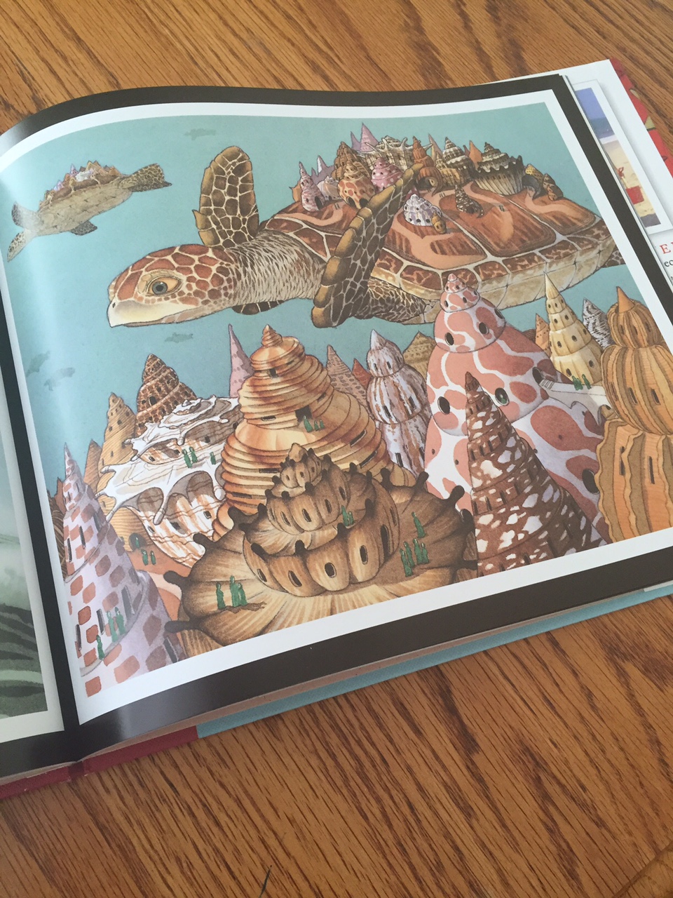 My Life in Picture Books... "FLOTSAM" by David Wiesner