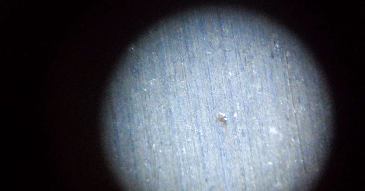 Sail Delmarva Bleach and Aluminum Corrosion