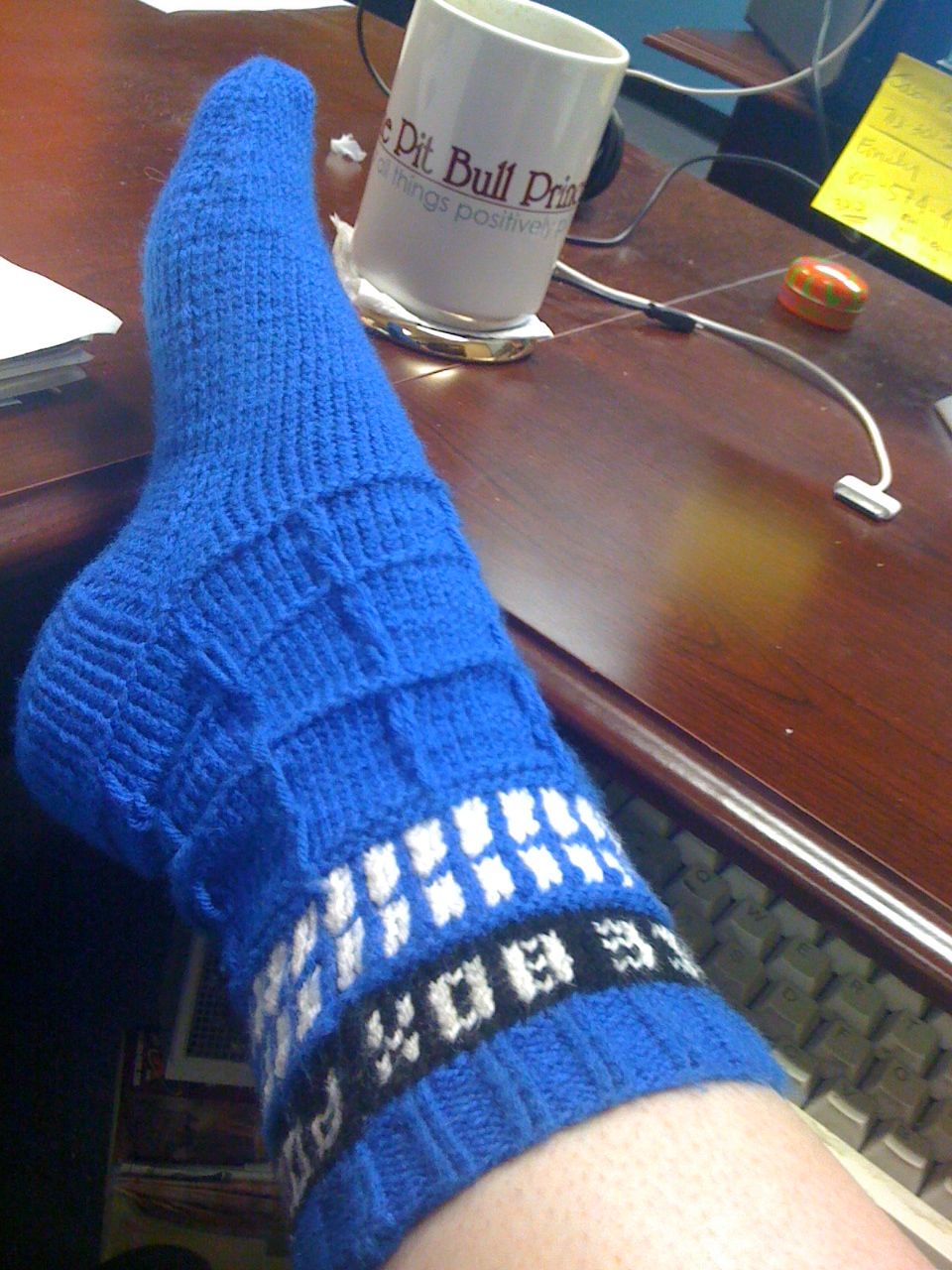 Muddy Paws & Puppy Kisses: TARDIS Socks