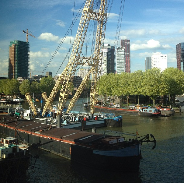 All Categories Truerup