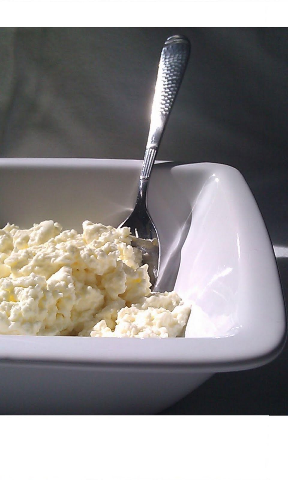 Fair Flavors Cottage cheese made from raw milk