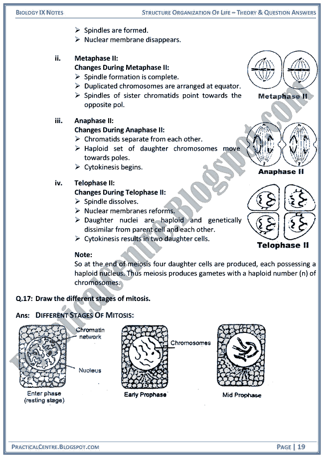 structural-organization-of-life-theory-and-question-answers-biology-ix