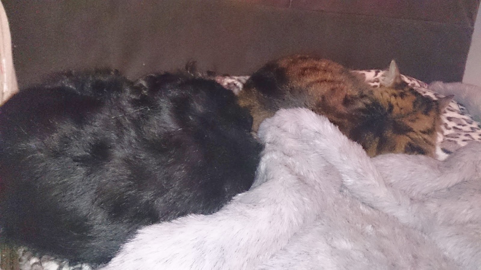 Robin Sparkles Blog How to make a fur and fleece dog / cat double