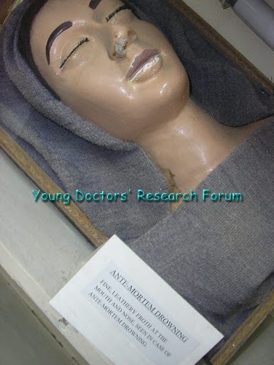 forensic toxicology research papers forensic toxicology research papers
