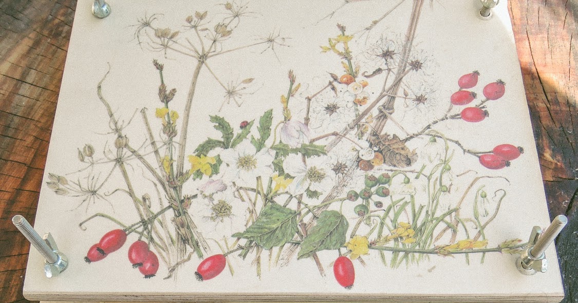 A handmade cottage How to press flowers using books OR flower press