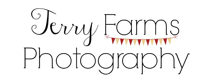 Terry Farms Photography
