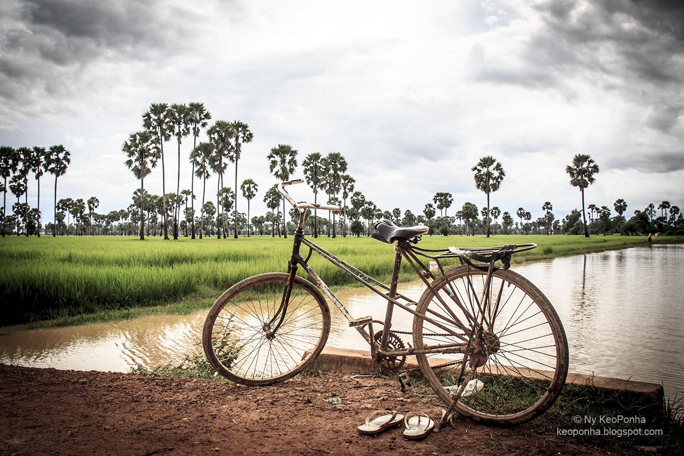 Ny KeoPonha Photography June 2013