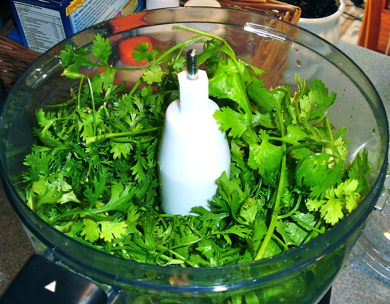 Ramblings of a Happy Homemaker Cilantro Sauce