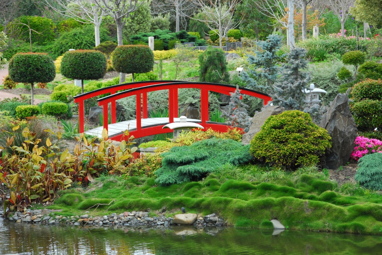 plantas jardins flores:1600 x 1071 jpeg 535kB, Maravillo-jardin-con-plantas-y-flores-y-puente plantas jardins flores:1600 x 1071 jpeg 535kB, Maravillo-jardin-con-plantas-y-flores-y-puente