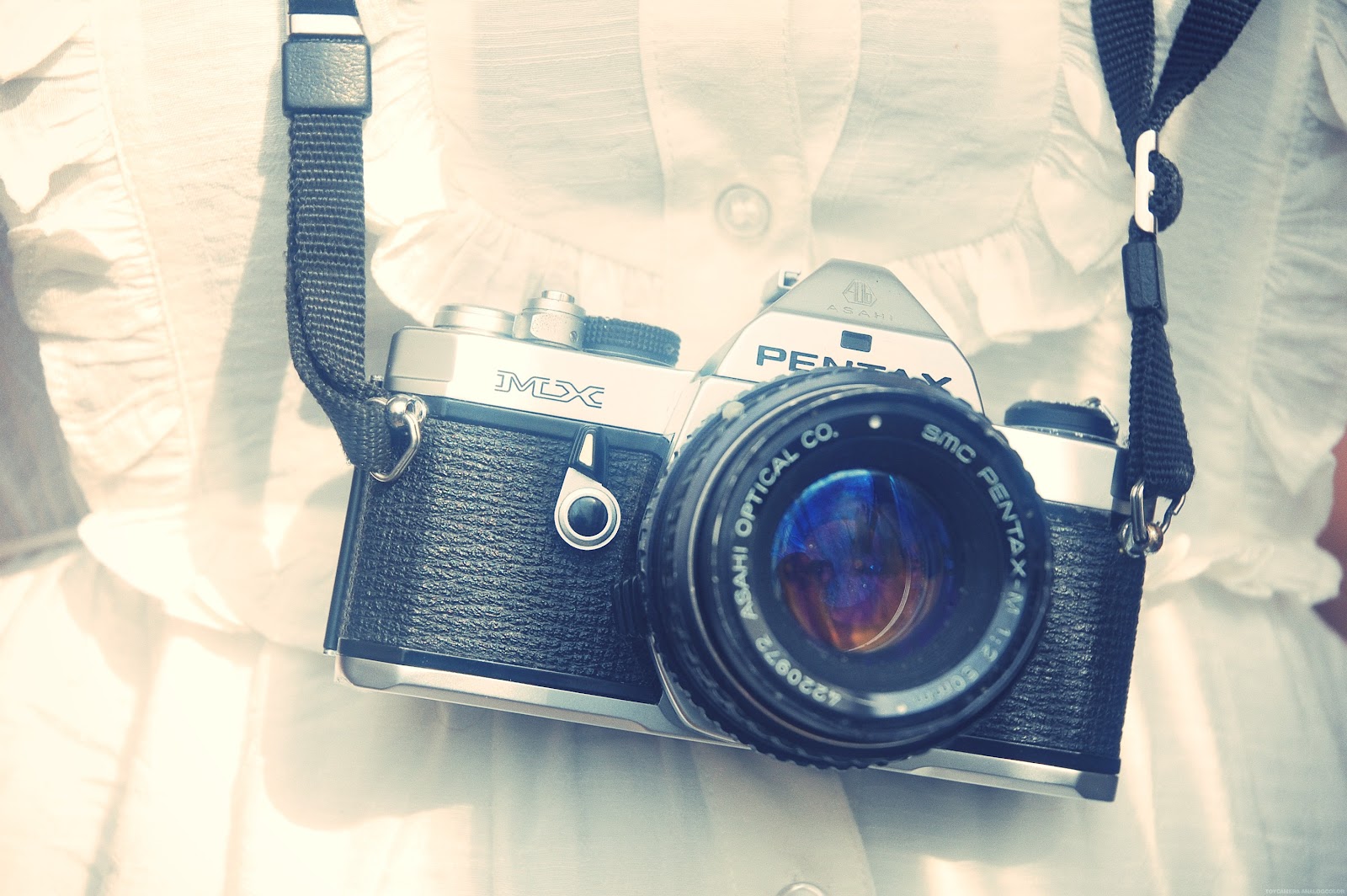 summer Camera project Ella Masters