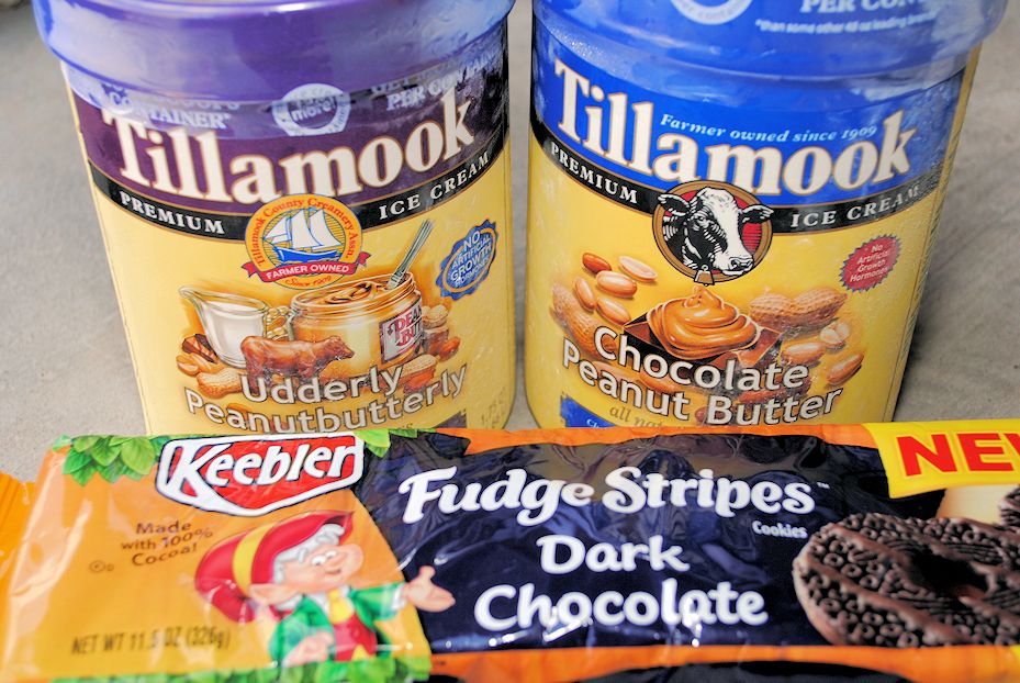 Peanut Butter and Chocolate Ice Cream Cake Crazy Little Projects