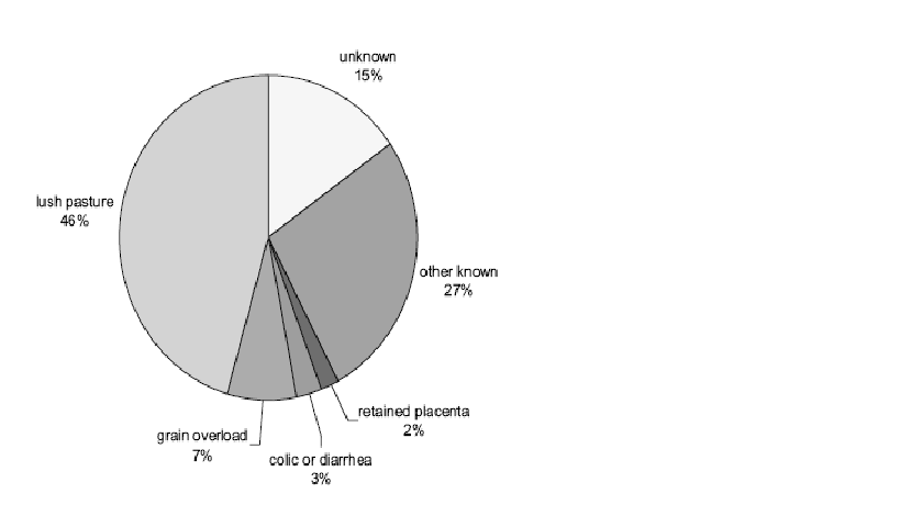 The Horse Talker Laminitis