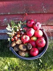 Efterår / Autumn