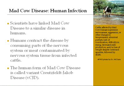 cow diseases and treatment pdf