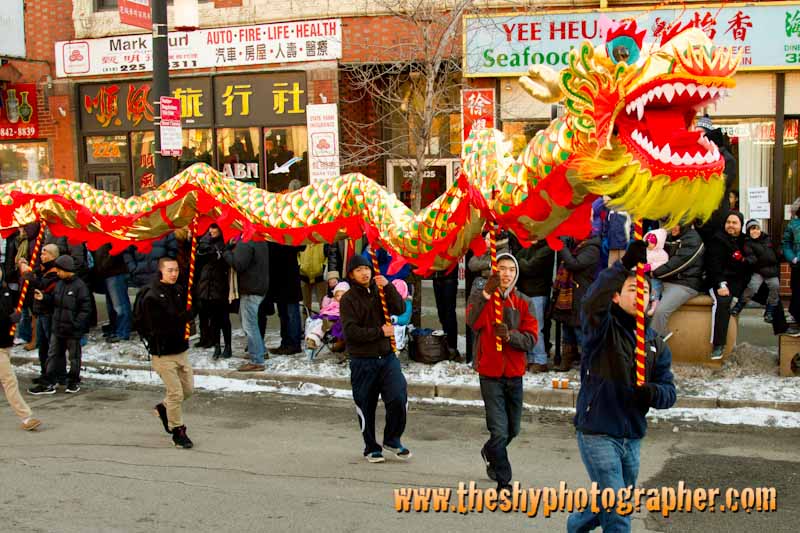 new year in chinatown chicago new year parade in chicago chinatown 2012 the new year in chinatown chicago new year parade in chicago chinatown 2012 the