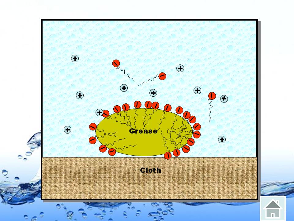 my chemistry Cleansing Action Of Soap and Detergent