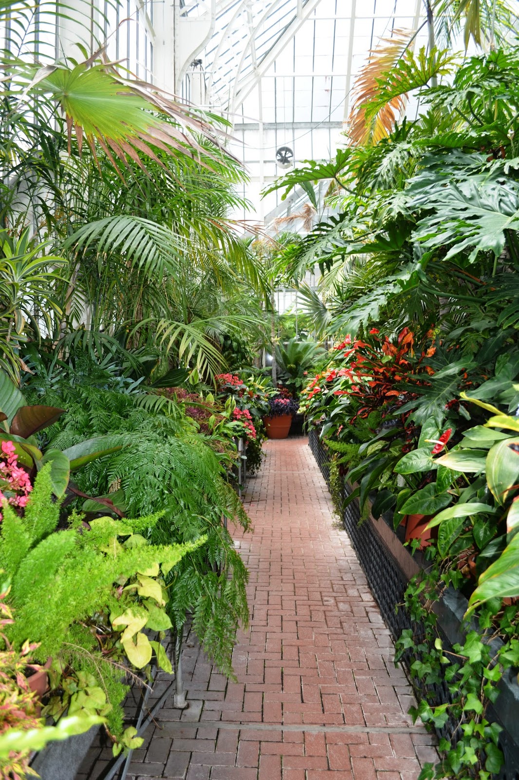 Biltmore Gardens | Travelin' Man