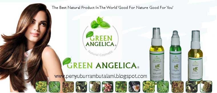 Penyubur Rambut Green Angelica Serum Mutakhir Penyubur Rambut Obat Kebotakan High Technology