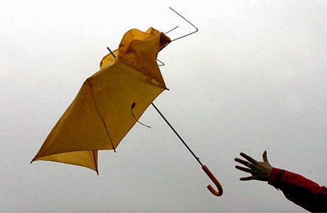 umbrella460.jpg