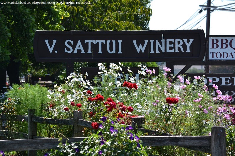 Fun Clicks V. Sattui Winery, Napa Valley, California
