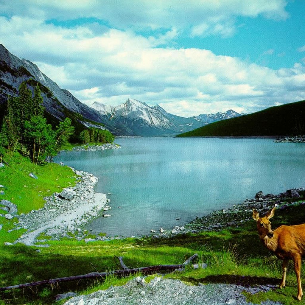 Free Download Images Of Nature Beauty Free Download Images Of Nature Beauty