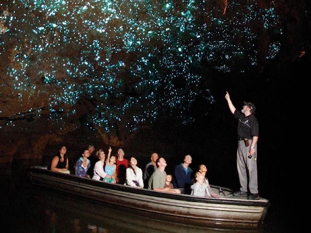 Luciérnagas cueva de Nueva Zelanda  cielo noche estrellada