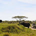 UJENZI WA HOTELI ZAIDI HIFADHI YA NGORONGORO SASA BASI